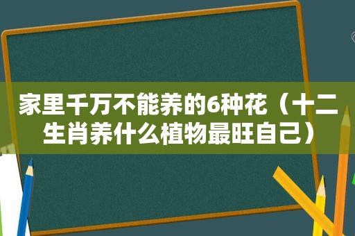 家里千万不能养的6种花（十二生肖养什么植物最旺自己）