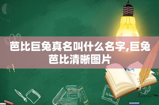芭比巨兔真名叫什么名字,巨兔芭比清晰图片