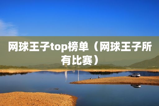 网球王子top榜单（网球王子所有比赛）