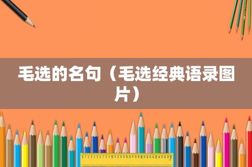 毛选的名句（毛选经典语录图片）