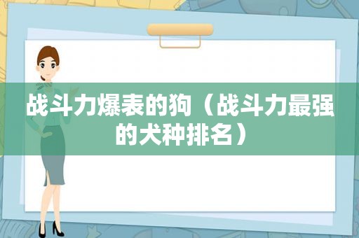 战斗力爆表的狗（战斗力最强的犬种排名）