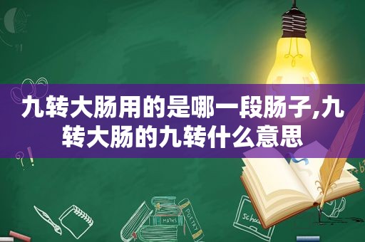 九转大肠用的是哪一段肠子,九转大肠的九转什么意思