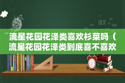 流星花园花泽类喜欢杉菜吗（流星花园花泽类到底喜不喜欢杉菜）