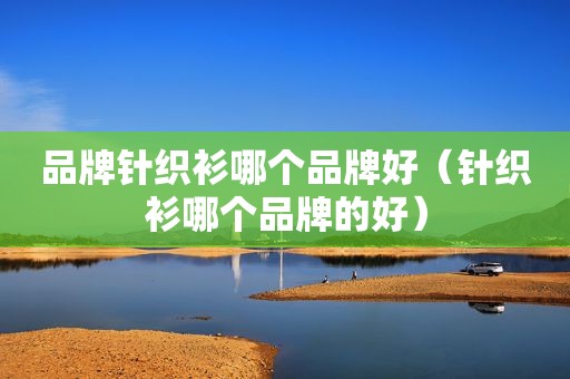 品牌针织衫哪个品牌好（针织衫哪个品牌的好）