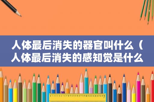 人体最后消失的器官叫什么（人体最后消失的感知觉是什么）