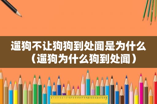 遛狗不让狗狗到处闻是为什么（遛狗为什么狗到处闻）