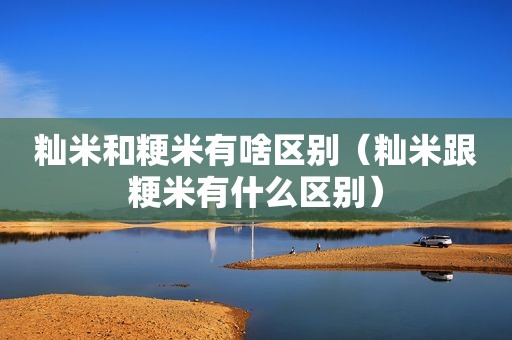 籼米和粳米有啥区别（籼米跟粳米有什么区别）