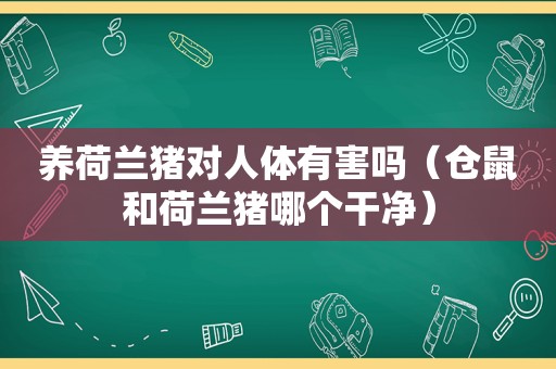 养荷兰猪对人体有害吗（仓鼠和荷兰猪哪个干净）
