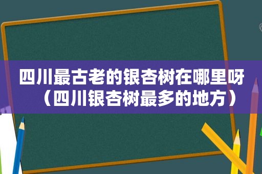 四川最古老的银杏树在哪里呀（四川银杏树最多的地方）