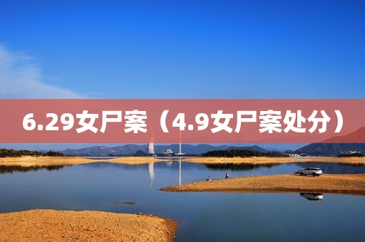 6.29女尸案（4.9女尸案处分）