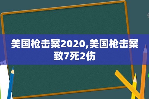 美国枪击案2020,美国枪击案致7死2伤
