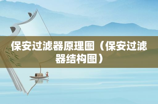 保安过滤器原理图（保安过滤器结构图）