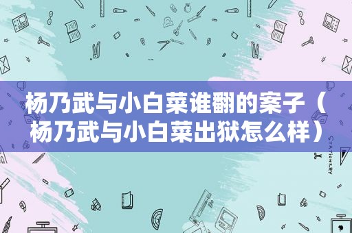 杨乃武与小白菜谁翻的案子（杨乃武与小白菜出狱怎么样）