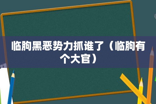 临朐黑恶势力抓谁了（临朐有个大官）