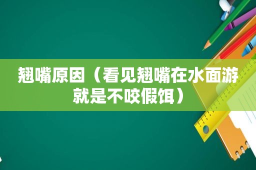 翘嘴原因（看见翘嘴在水面游就是不咬假饵）