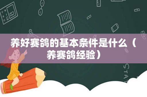 养好赛鸽的基本条件是什么（养赛鸽经验）