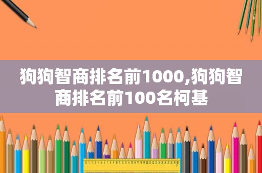 狗狗智商排名前1000,狗狗智商排名前100名柯基