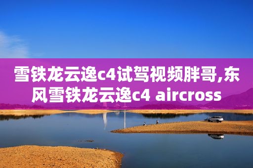 雪铁龙云逸c4试驾视频胖哥,东风雪铁龙云逸c4 aircross