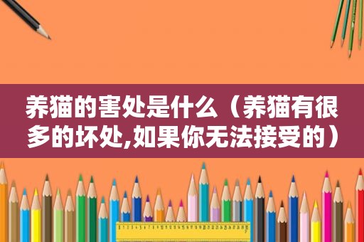 养猫的害处是什么（养猫有很多的坏处,如果你无法接受的）