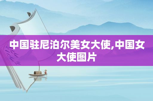 中国驻尼泊尔美女大使,中国女大使图片