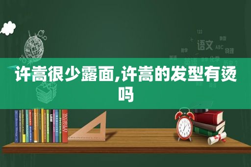 许嵩很少露面,许嵩的发型有烫吗