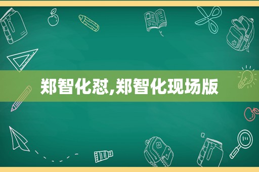郑智化怼,郑智化现场版
