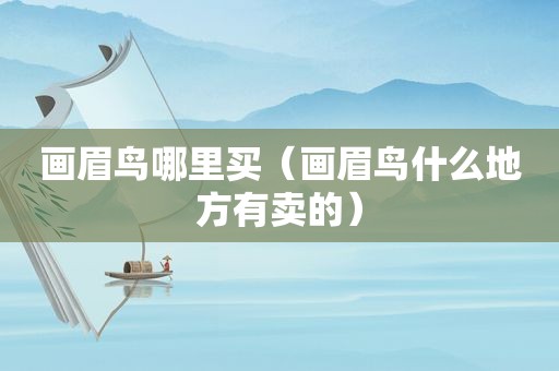 画眉鸟哪里买（画眉鸟什么地方有卖的）