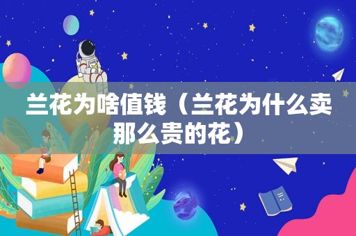 兰花为啥值钱（兰花为什么卖那么贵的花）