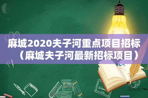 麻城2020夫子河重点项目招标（麻城夫子河最新招标项目）