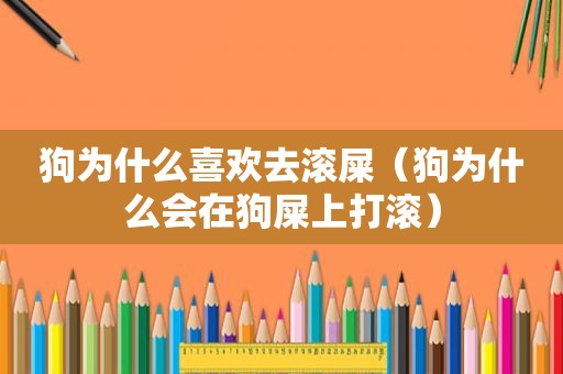 狗为什么喜欢去滚屎（狗为什么会在狗屎上打滚）
