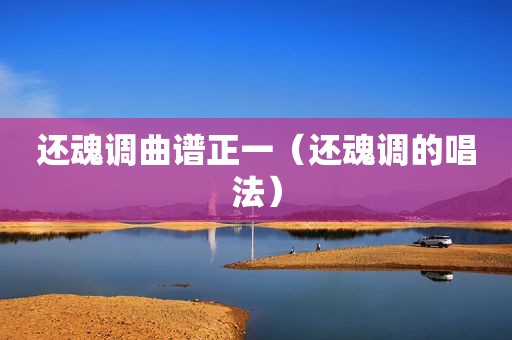 还魂调曲谱正一（还魂调的唱法）