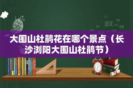 大围山杜鹃花在哪个景点（长沙浏阳大围山杜鹃节）