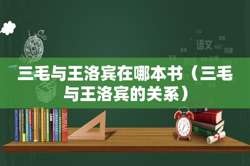 三毛与王洛宾在哪本书（三毛与王洛宾的关系）