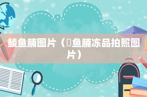 鲮鱼腩图片（鮰鱼腩冻品拍照图片）