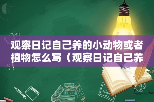 观察日记自己养的小动物或者植物怎么写（观察日记自己养的小动物或者植物作文）