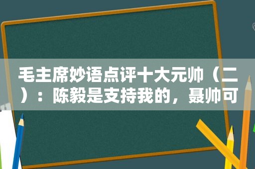 毛主席妙语点评十大元帅（二）：陈毅是支持我的，聂帅可比鲁智深