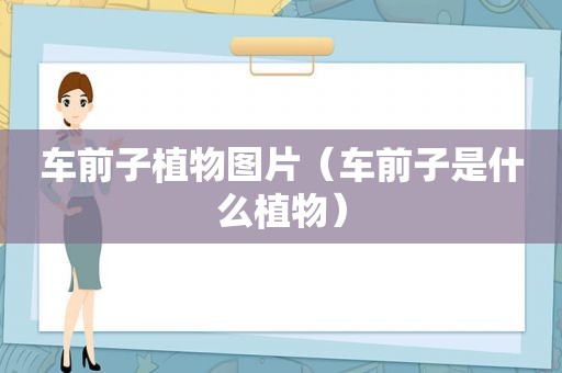 车前子植物图片（车前子是什么植物）