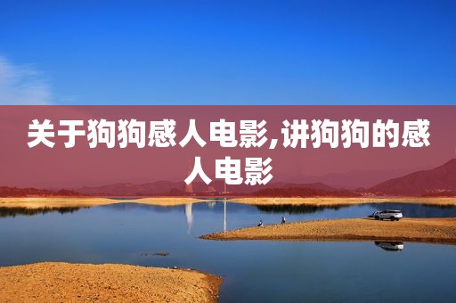 关于狗狗感人电影,讲狗狗的感人电影