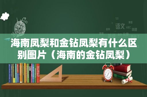 海南凤梨和金钻凤梨有什么区别图片（海南的金钻凤梨）