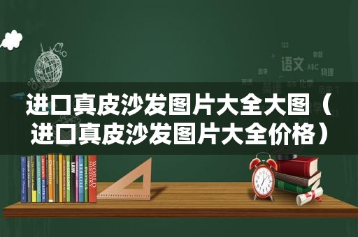 进口真皮沙发图片大全大图（进口真皮沙发图片大全价格）