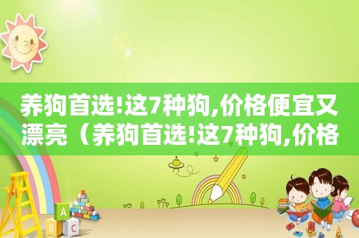 养狗首选!这7种狗,价格便宜又漂亮（养狗首选!这7种狗,价格便宜又漂亮的狗）