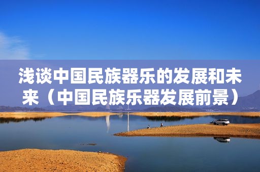 浅谈中国民族器乐的发展和未来（中国民族乐器发展前景）