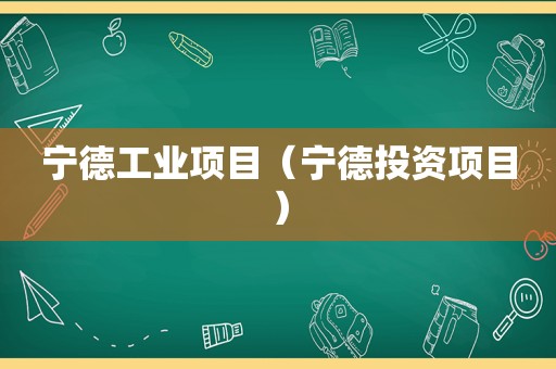 宁德工业项目（宁德投资项目）