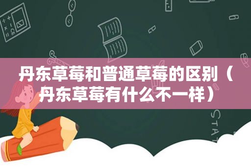 丹东草莓和普通草莓的区别（丹东草莓有什么不一样）