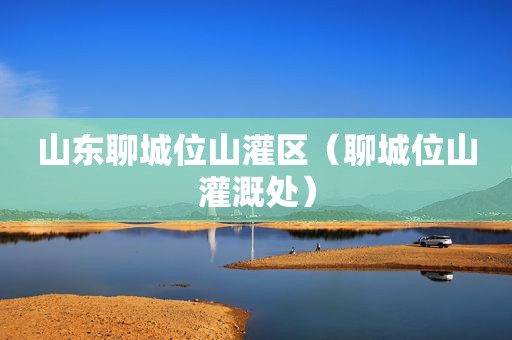 山东聊城位山灌区（聊城位山灌溉处）