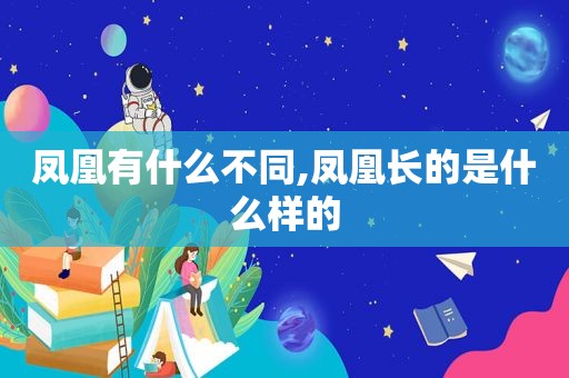 凤凰有什么不同,凤凰长的是什么样的