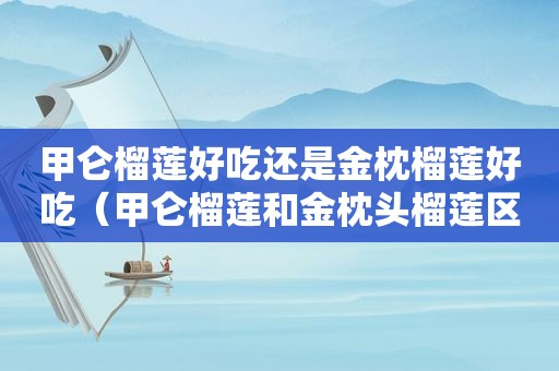甲仑榴莲好吃还是金枕榴莲好吃（甲仑榴莲和金枕头榴莲区别）