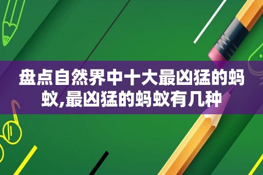 盘点自然界中十大最凶猛的蚂蚁,最凶猛的蚂蚁有几种