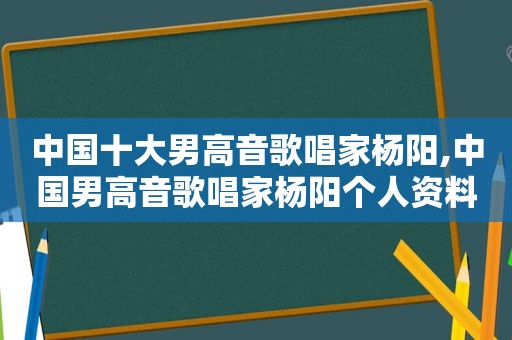 中国十大男高音歌唱家杨阳,中国男高音歌唱家杨阳个人资料