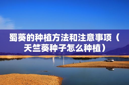 蜀葵的种植方法和注意事项（天竺葵种子怎么种植）